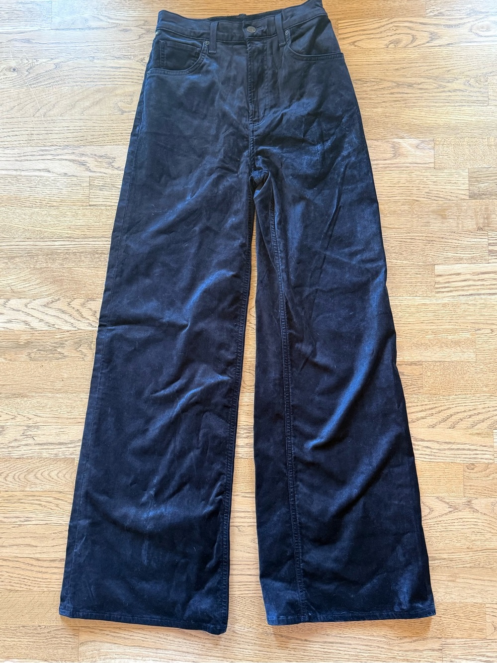 Citizens of Humanity Paloma Baggy Velvet Pants Navy Size 26